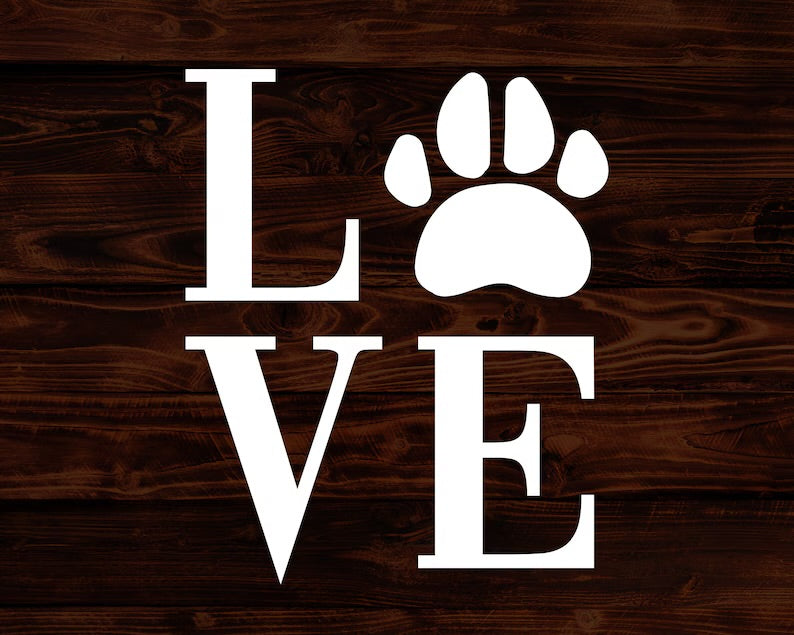 Monthly Hero 🐾 🫶🏽